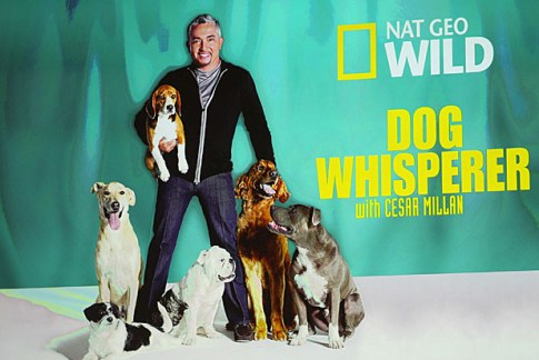 2012 Winter TCA Tour - Day 10