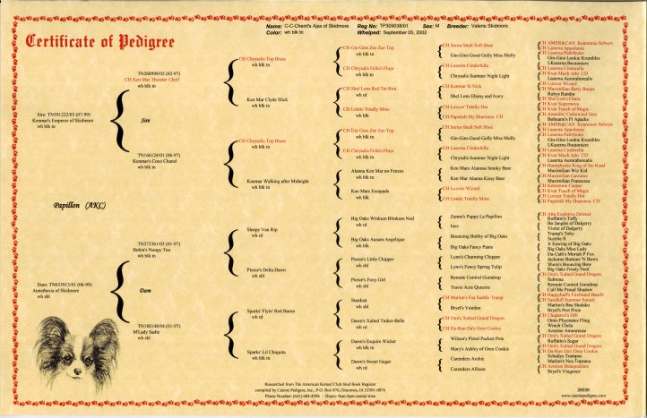chart_pedigree