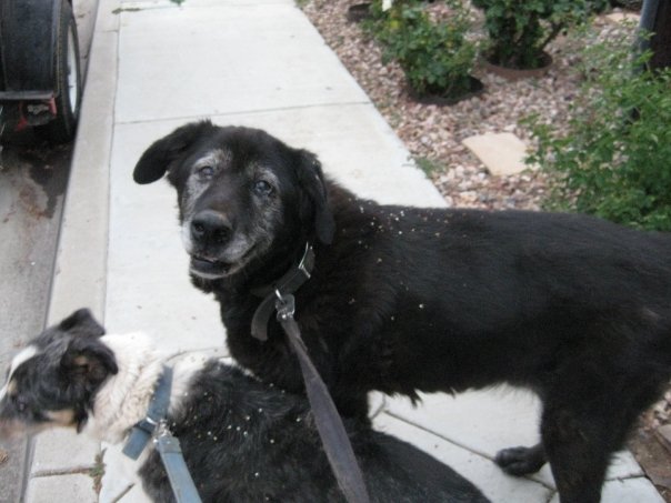 10400380_1172363275881_6934873_n