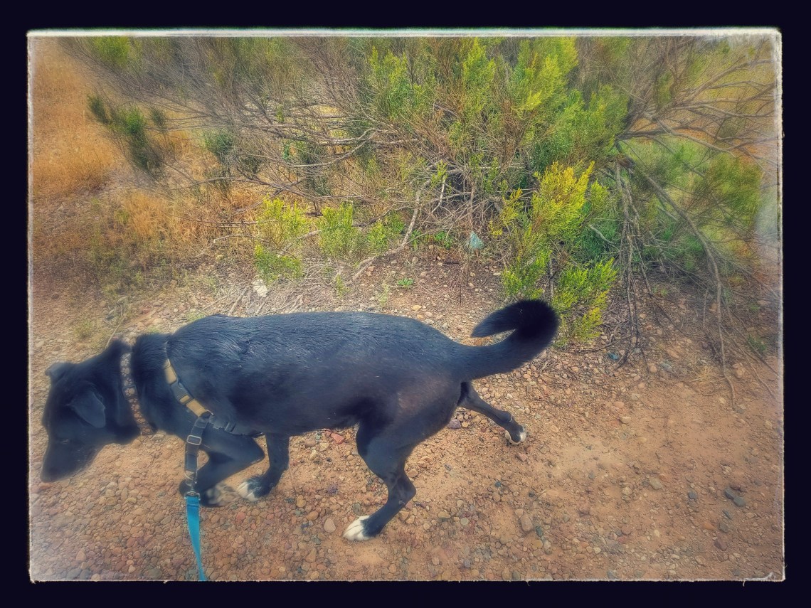 20170513_100026-EFFECTS