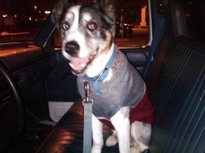 IMG00009-20100211-2043