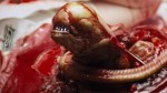 chestburster