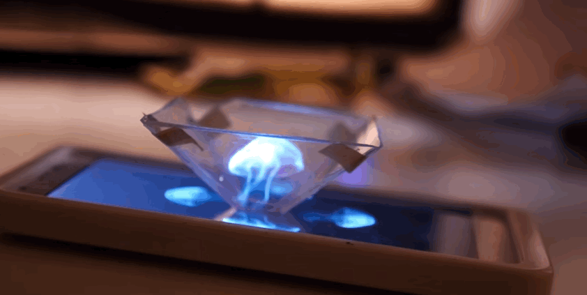 PhysicalJointBellfrog