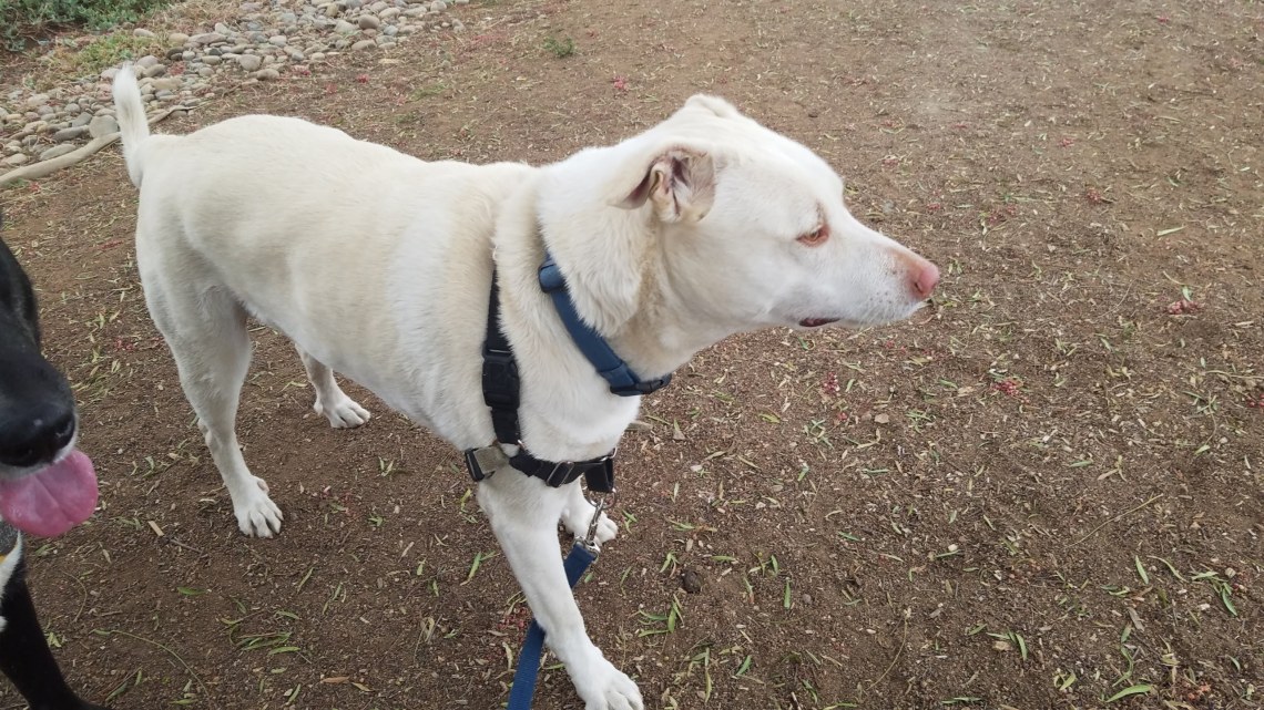 img_20180617_072007_788